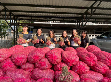สำนักงานสหกรณ์จังหวัดหนองคายกระจายหอมแดง(ปึ๋ง) ... พารามิเตอร์รูปภาพ 10